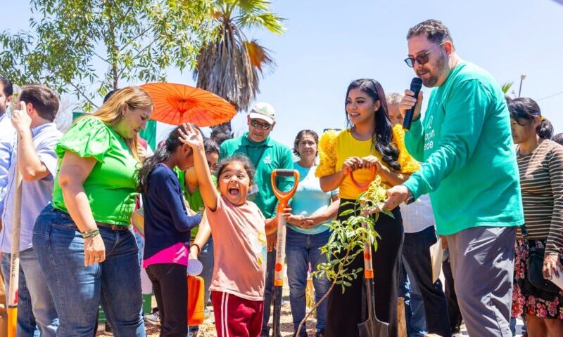 Logra Ayuntamiento de Tijuana plantar 100 mil árboles con Sembrando