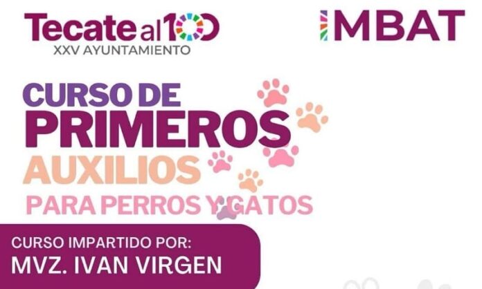21a7d5f5-5308-41e8-bab2-6f9d67b54251