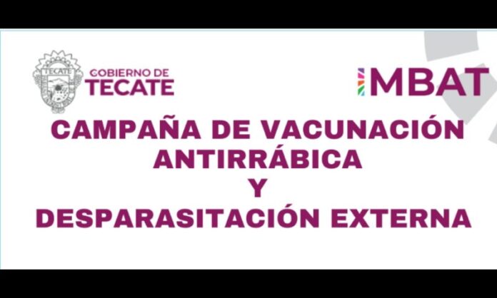 Captura de pantalla 2025-06-13 171500
