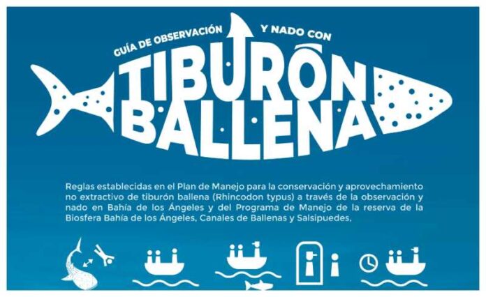 san quintin