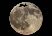 La luna llena de septiembre y el vuelo: un instante eterno a través de la lente del maestro Miguel Cervantes Sahagún