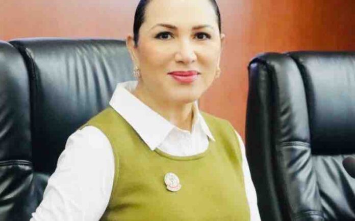 diputada Araceli Geraldo Núñez