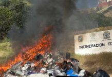 Incineran casi 5 toneladas de drogas aseguradas en Tijuana por corporaciones militares y civiles