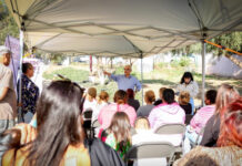 Realiza intensa Jornada en Ensenada Alfredo Álvarez