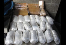 CBP decomisa más de 14 millones de dólares en drogas en marzo en la Región de San Diego