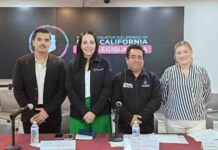 Avanza en comision exhorto para coordinar medidas contra plaga de gusano barrenador