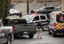 Operativo de seguridad en colonia Chapultepec