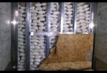 Decomisan más de 3 mil libras de metanfetamina en garita de Otay Mesa