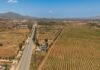 Buscan reactivar economía del Valle de Guadalupe con regreso de conciertos