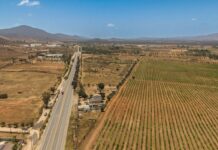 Buscan reactivar economía del Valle de Guadalupe con regreso de conciertos