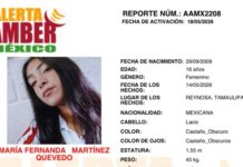 Alerta Amber de México de María Fernanda Martínez Quevedo