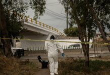Localizan cuerpo sin vida debajo del puente Kontiki en la carretera escénica Rosarito-Tijuana