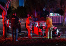 Conductora derriba árbol y poste tras perder el control en el bulevar Sánchez Taboada
