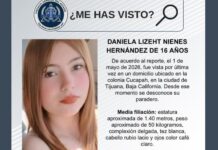 Pesquisa de Daniela Lizeht Nienes Hernández de 16 años