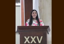 Dip. Daylín García exige investigaciones y depuración del Gobierno frente al crimen organizado