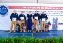 Honran a héroes K9 de Baja California tras años de servicio