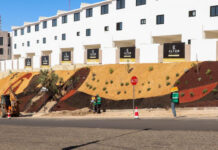 Transforma REDD espacios urbanos con infraestructura verde