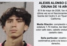 Pesquisa de Alexis Alonso Cota Osuna de 16 años