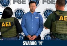FGE captura con orden de aprehensión a masculino por maltrato y crueldad animal en Ensenada
