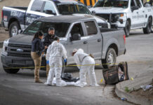 Hallan cuerpo dentro de una maleta en la colonia Alemán