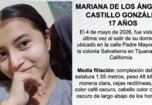 Pesquisa de Mariana de los Ángeles Castillo González de 17 años