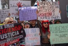 Protestan en Tijuana para exigir justicia por caso de gato torturado