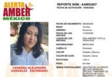 Alerta Amber de México de Vanessa Alejandra González Escribano